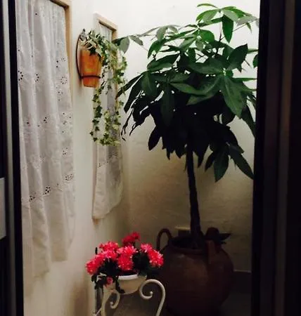 Bed & Breakfast Aribri